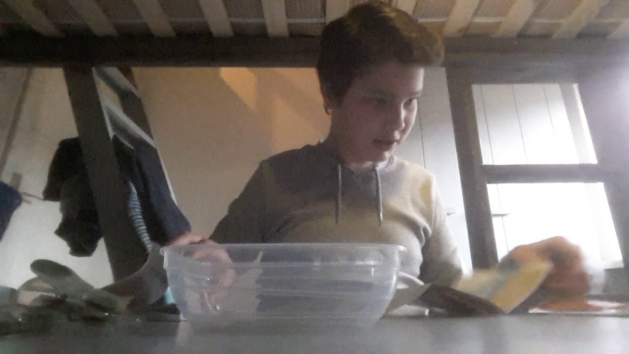 Triops kweeken