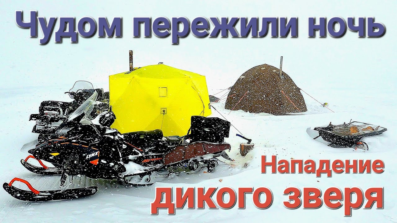 НАПАДЕНИЕ ДИКОГО ЗВЕРЯ НА РЫБАКОВ/СТРАШНАЯ НОЧЕВКА В ПАЛАТКЕ или ЧУДОМ ПЕРЕЖИЛИ НОЧЬ/Рыбалка в горах