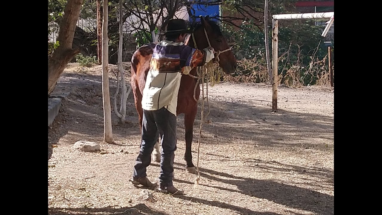 Vaquero contra pistolero.