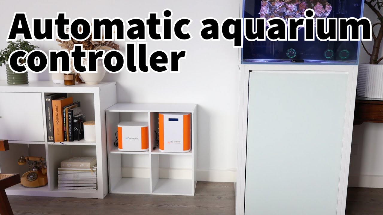 Setting Up My Automatic Aquarium Controller! The Alktronic by Focustronic