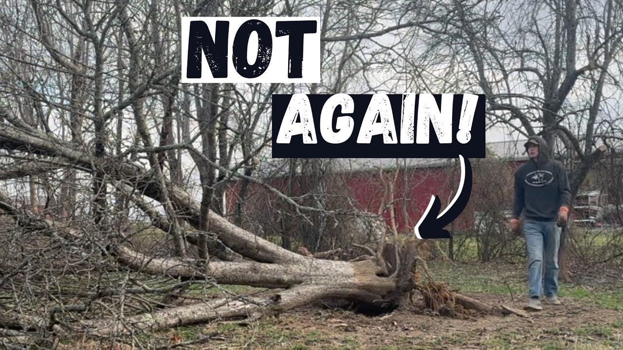 Tennessee Farm Faces Another Storm!