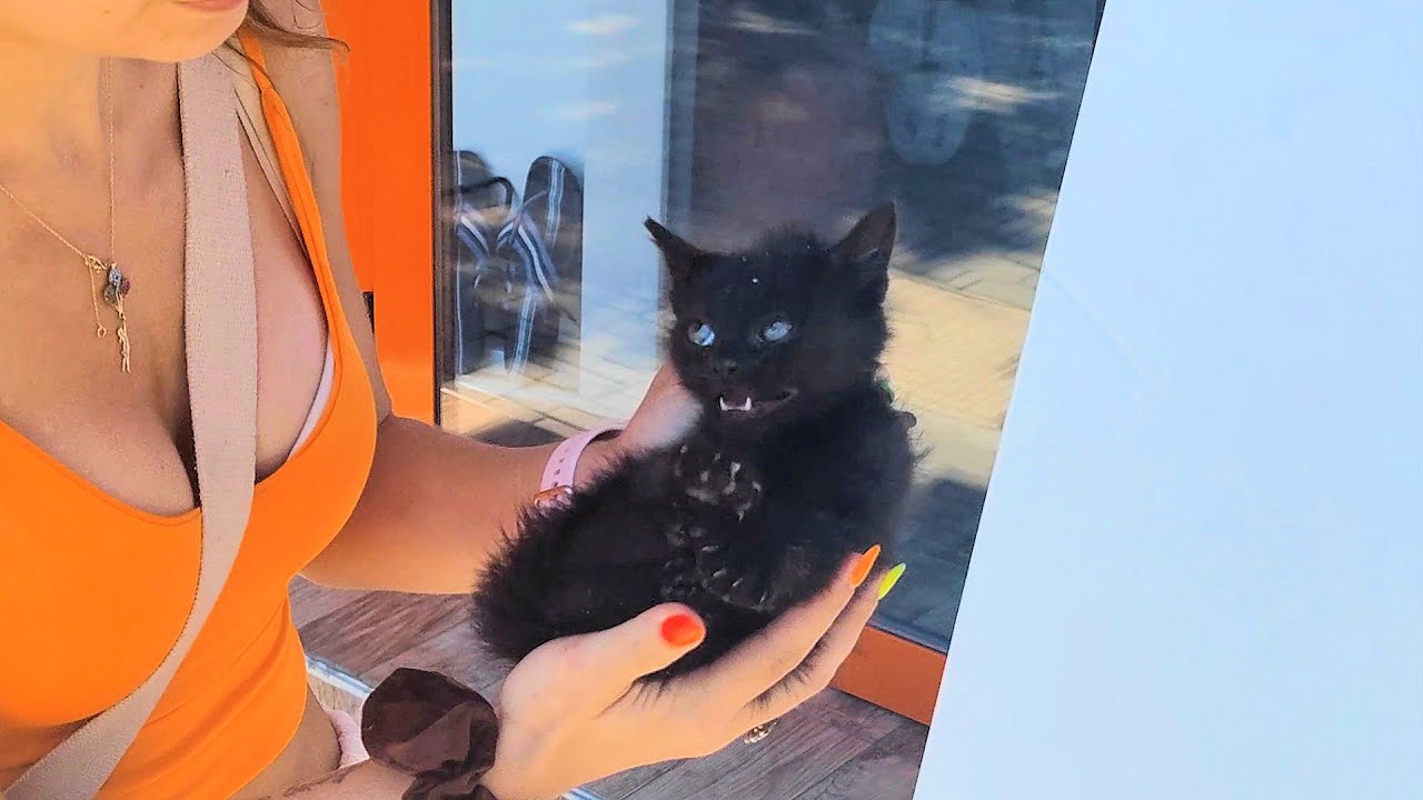 We Caught A Little Black Devil And He Was Shocked