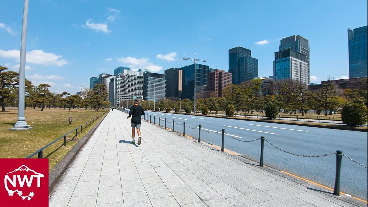 A state of emergency was declared in Tokyo | Akihabara and Tokyo Business district 4K