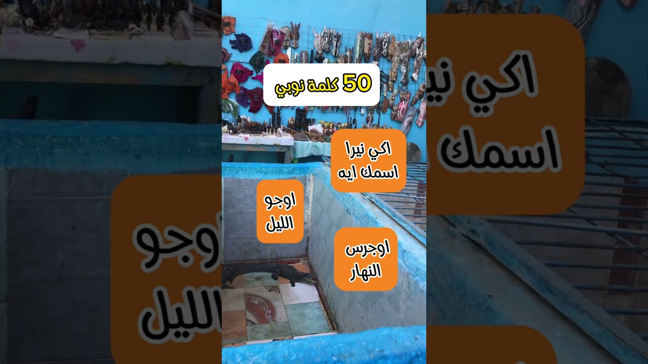 50 كلمة نوبية مترجمة للعربي صوت وكتابة