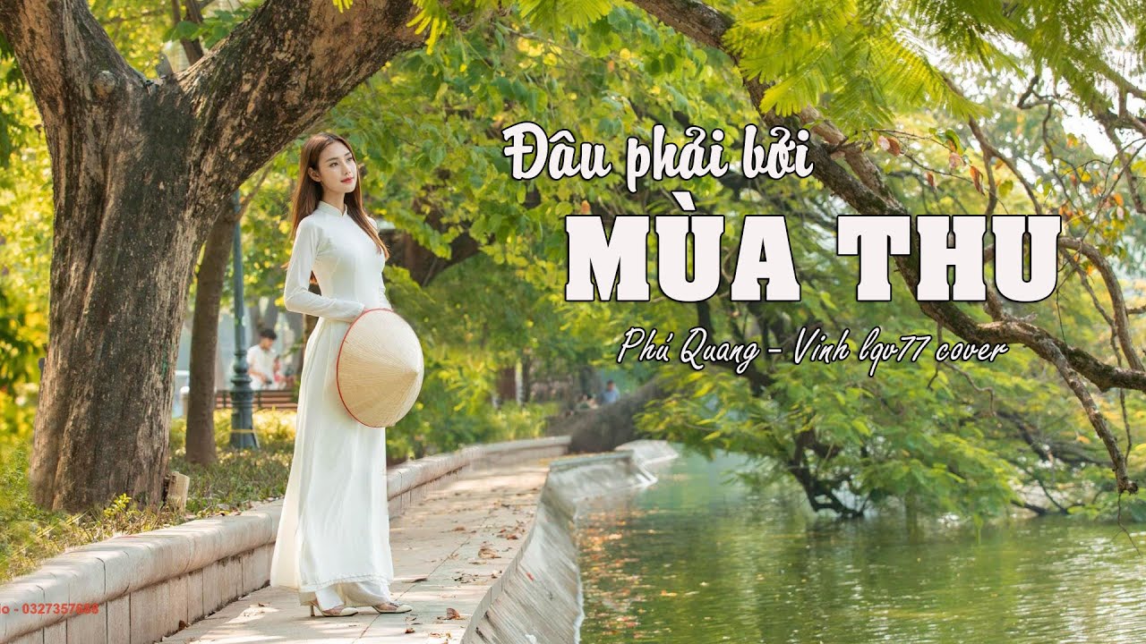 Đ&Acirc;U PHẢI BỞI M&Ugrave;A THU | PH&Uacute; QUANG | lqv77 cover
