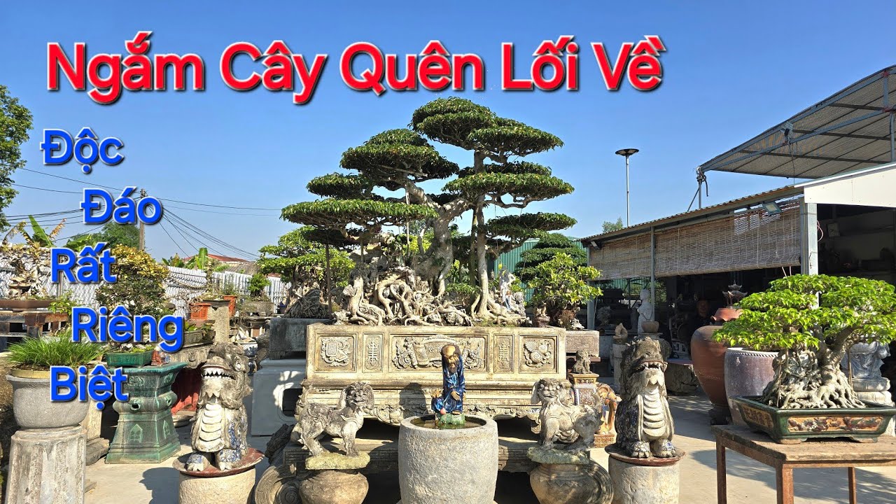 CHIÊM NGƯỠNG ĐÃ MẮT VƯỜN CÂY XUẤT SẮC tại Gia Lộc - Hải Dương cũ * NV NGỢI TRẦN * .