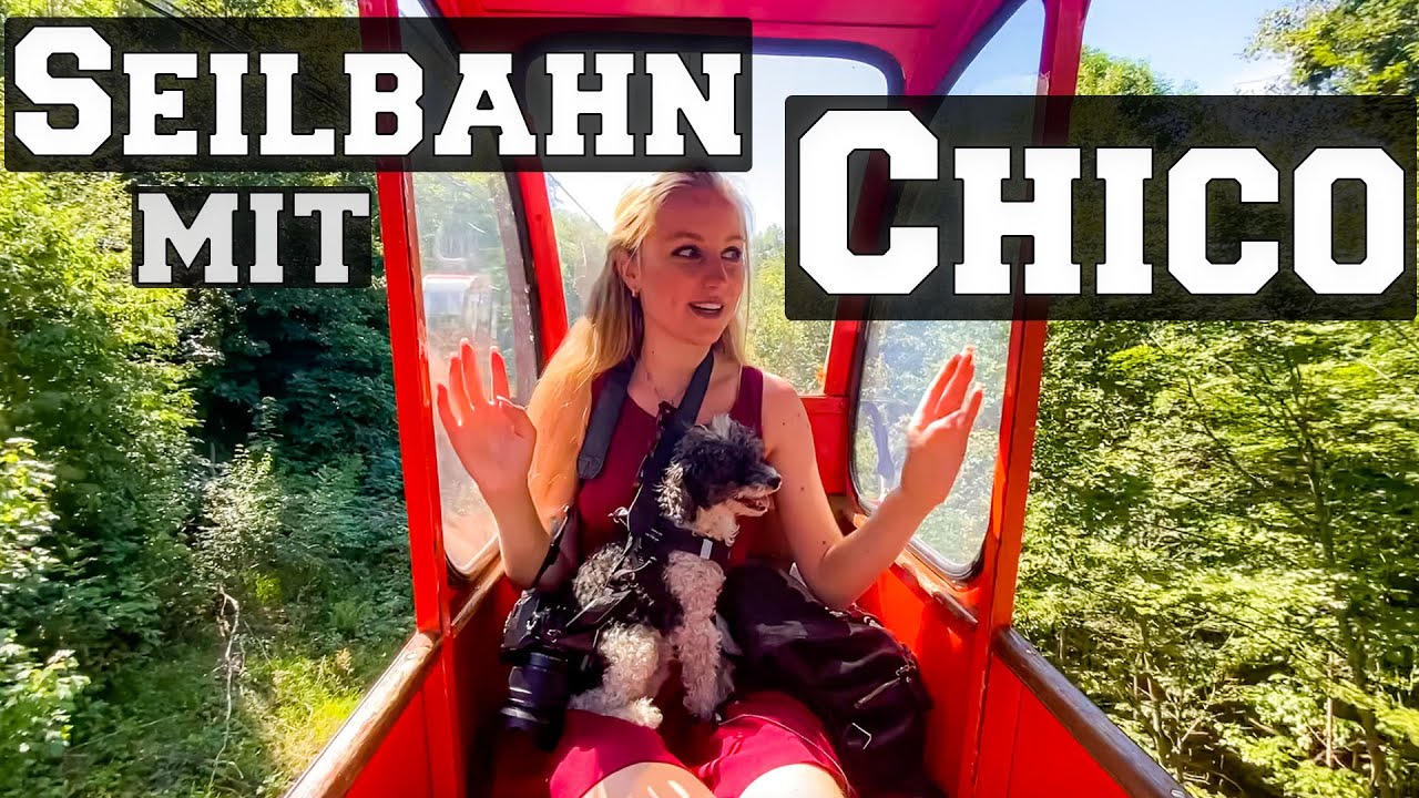 Chico fährt Seilbahn 😳 (zum 1. Mal!) - Waldeck, Edersee Vlog