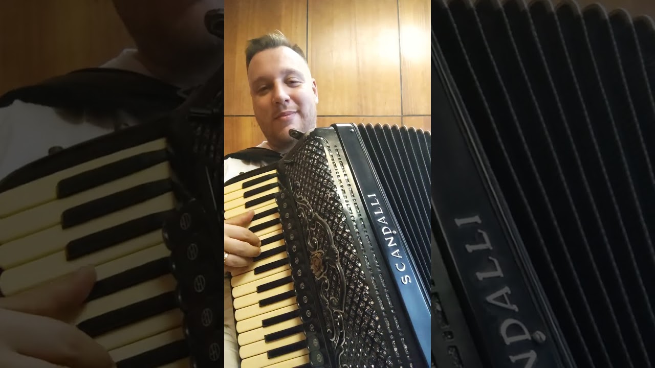 Wave (A.Jobim) Mikhail Shostak – accordion