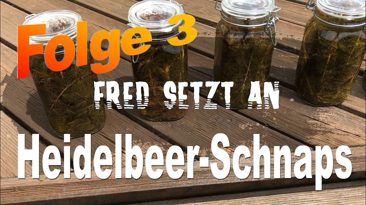 Fred setzt an - Folge 3 - Heidelbeerschnaps