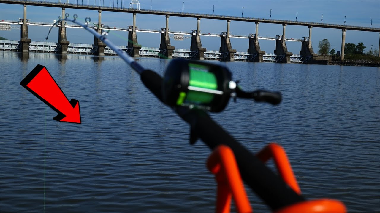 Arkansas River LOADED With CATFISH!! GET THE NET!!