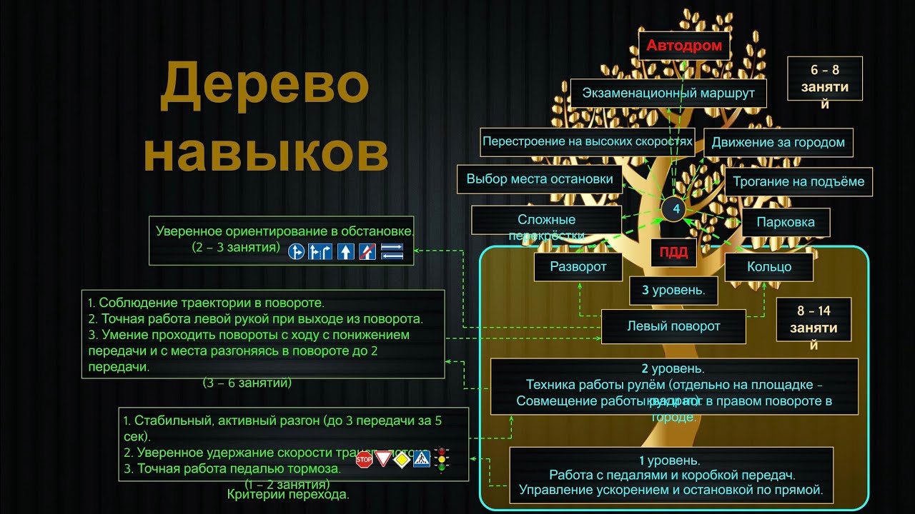 Дерево навыков ученика. 1 ур. Освоение базовых навыков управления автомобилем. 