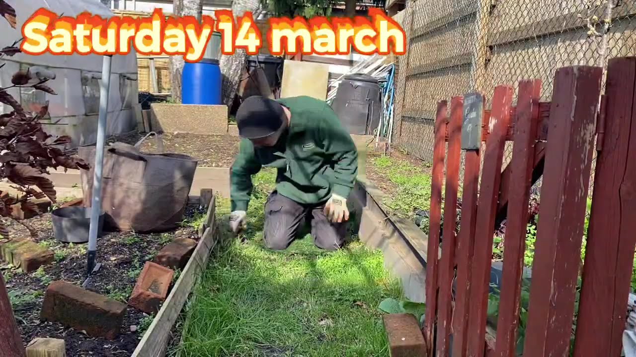 HOT TO TAKE ANGEL TRUMPET CUTTINGS Sunday 15 March 2026