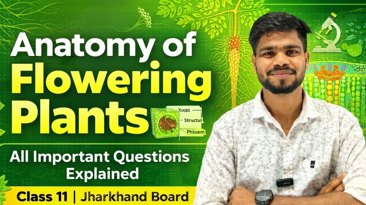 Anatomy of Flowering Plants Full Chapter Revision | Board + NEET