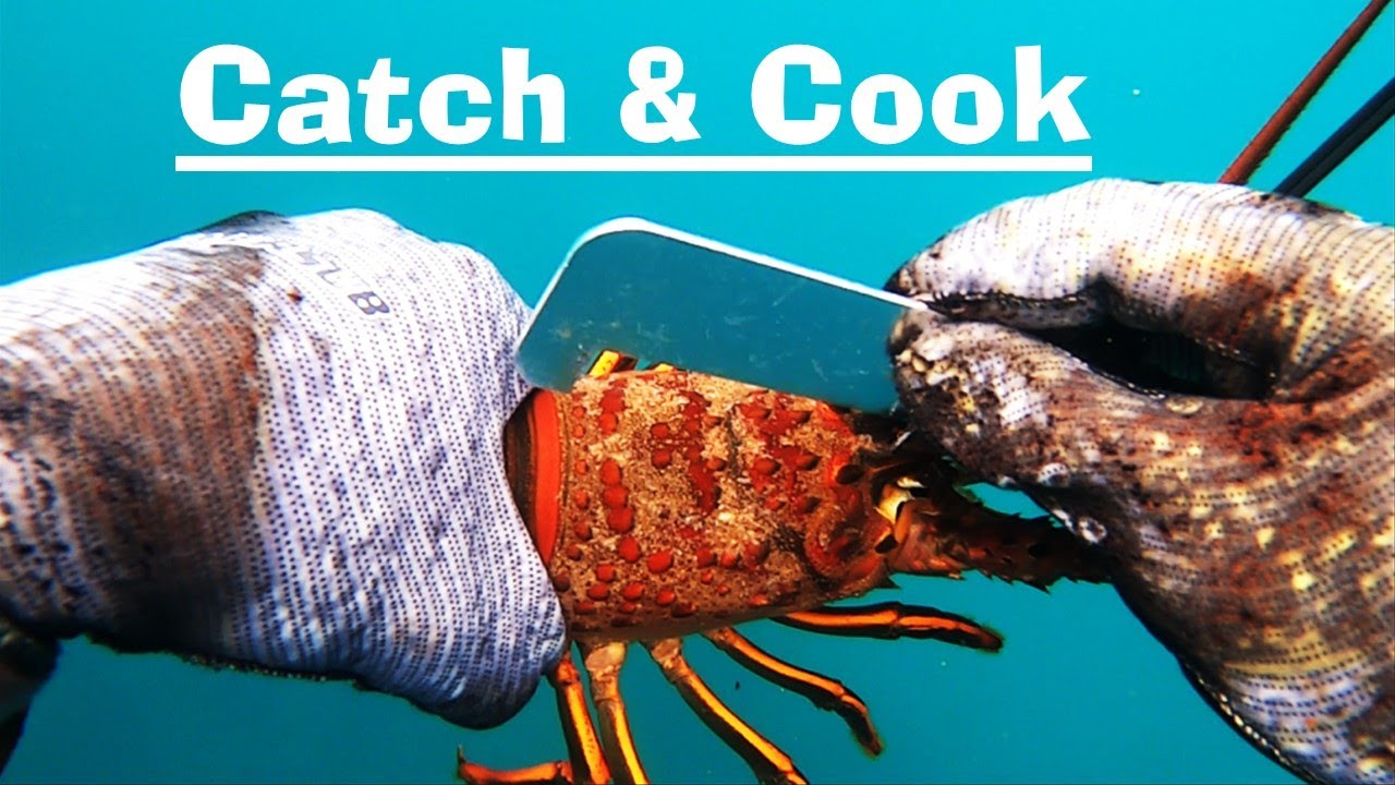 How to Spearfish CA Episode 23: LOBSTER Catch & Cook!