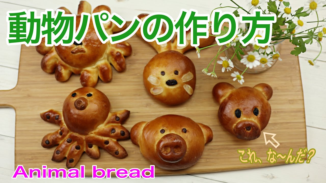 子供と一緒にパン作り！動物パンの作り方　　How to make Animal bread