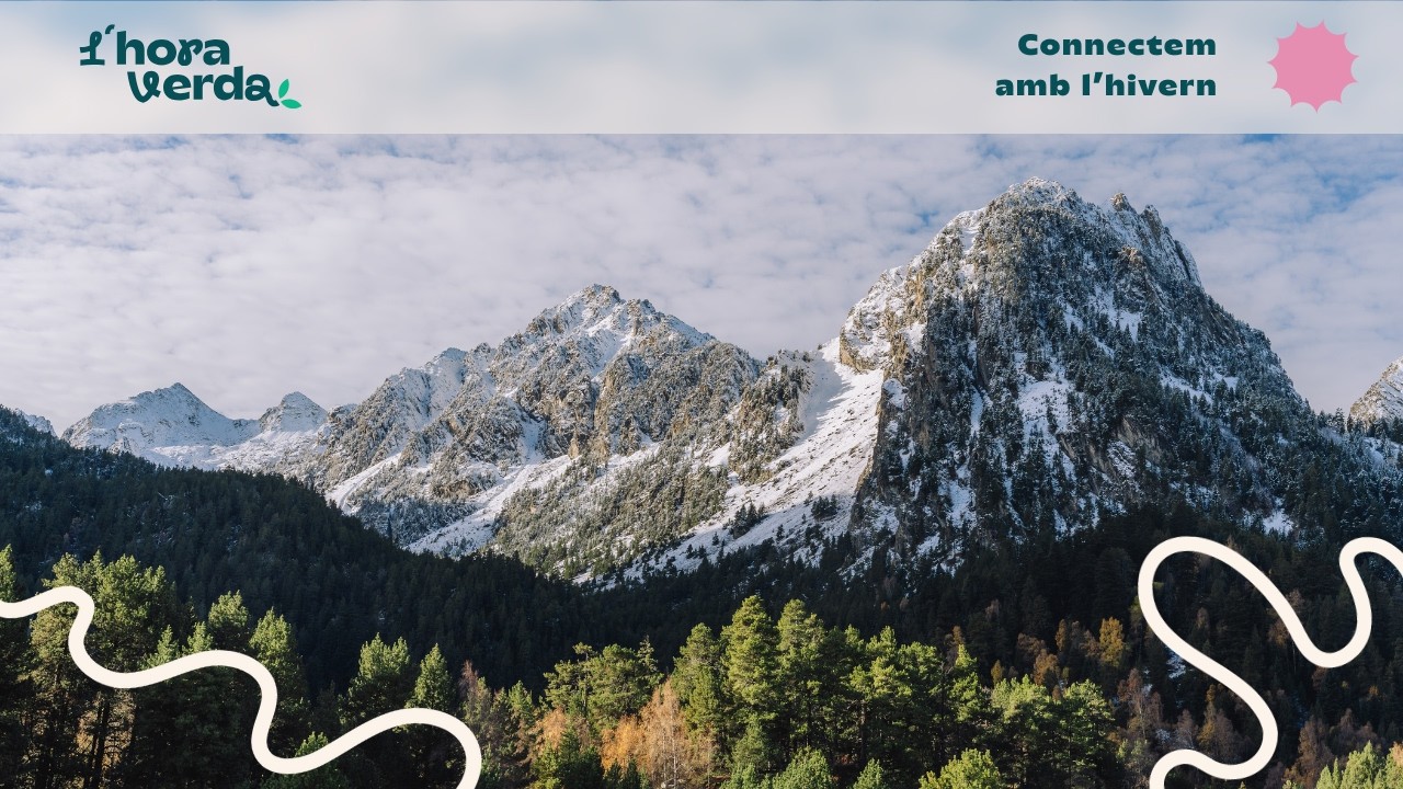 L'HoraVerda: connectem amb l'hivern ❄️