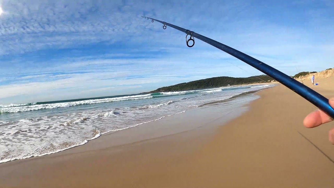 THIS BAIT CATCHES FISH EVERYTIME