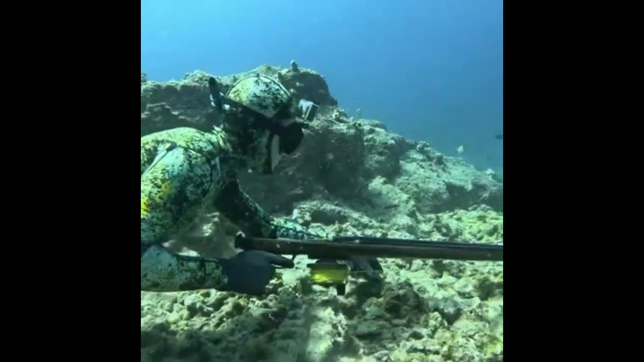 Hello everyone. Today, let's explore just how rich our marine resources are.