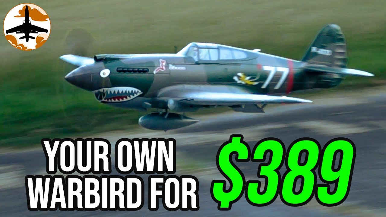 One of the Greatest World War II Warbirds - FMS P-40B Warhawk 1400mm