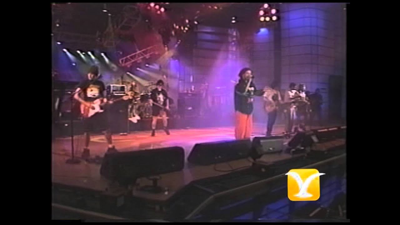 Los Pericos, Me late, me late, Festival de Vi&ntilde;a 1995