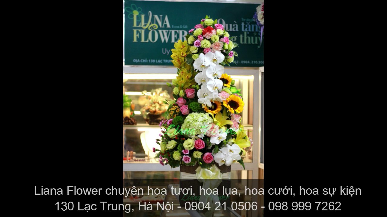 HOA TƯƠI CH&Uacute;C MỪNG -   LIANA FLOWER