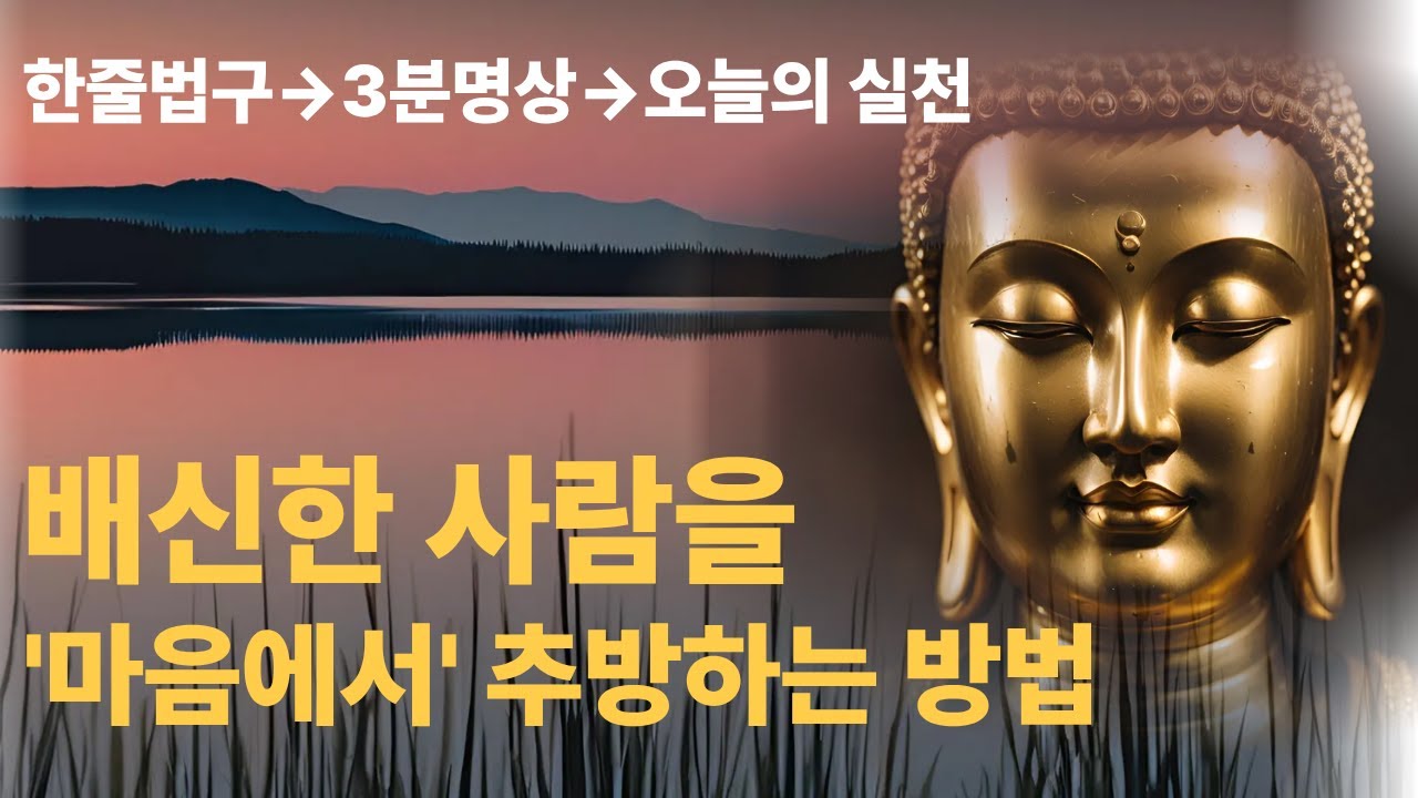 부처님의 위로와 지혜 | 배신한 사람을 ‘마음에서’ 추방하는 방법 | 마음 고요 ASMR | 명언 | 자기수행 | 불교명상