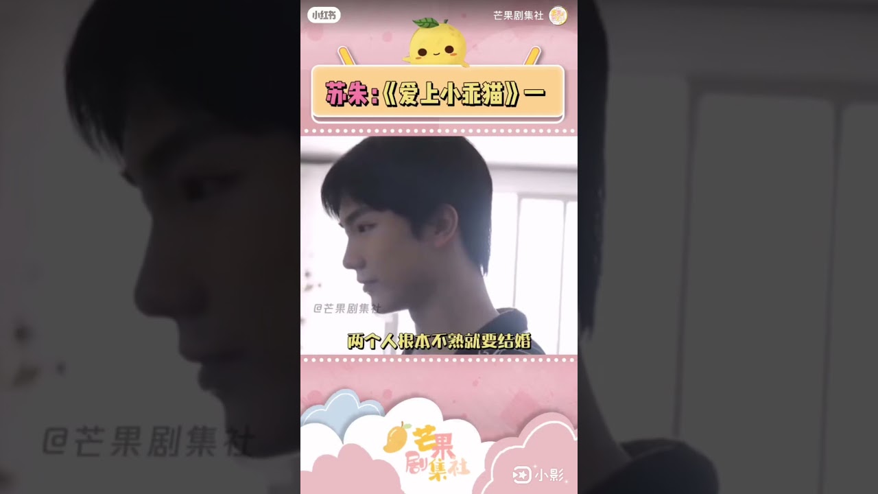 愛上小乖貓(全部)