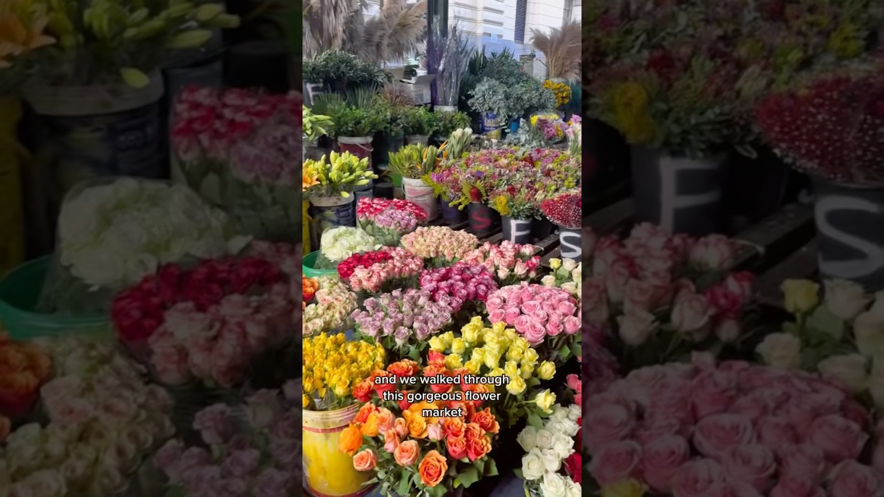 A Full day in Cape Town - CBD, Flower Market, & Rugby Game