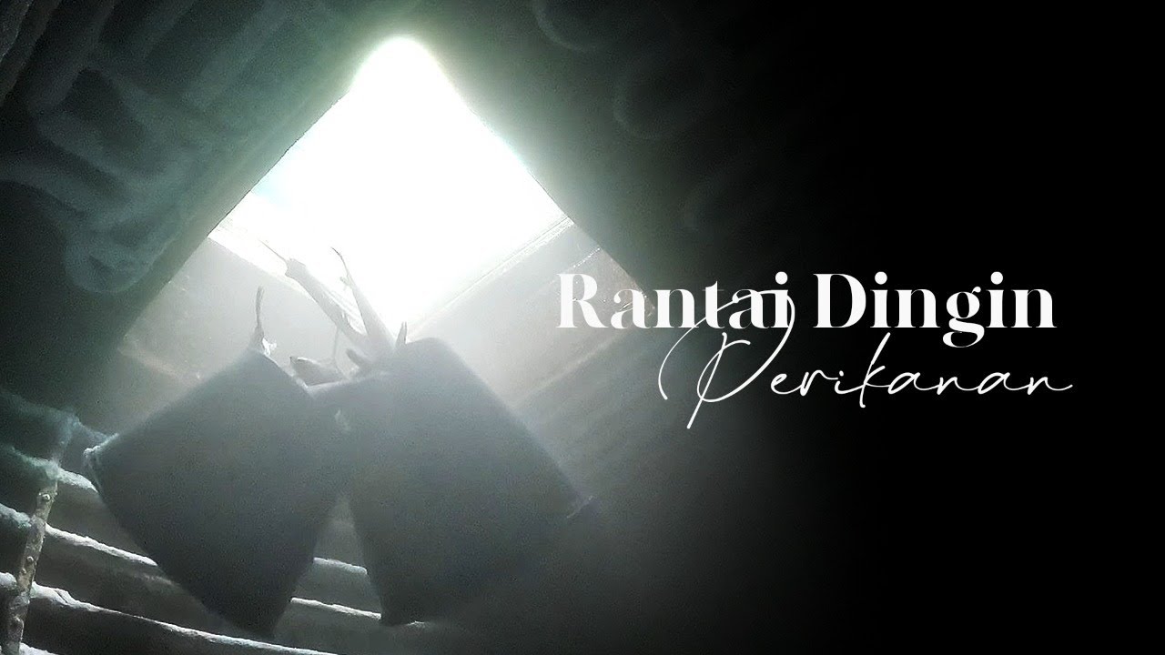 Rantai Dingin Perikanan