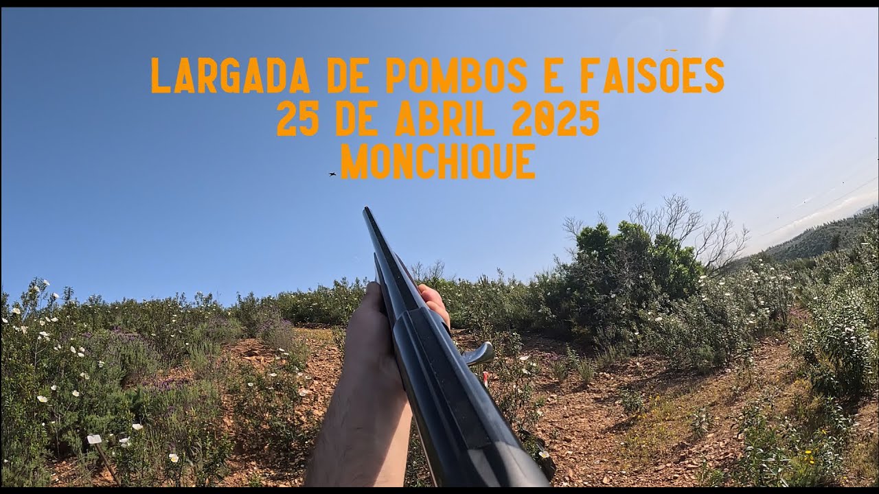 LARGADA DE POMBOS E FAISÕES MONCHIQUE 2025