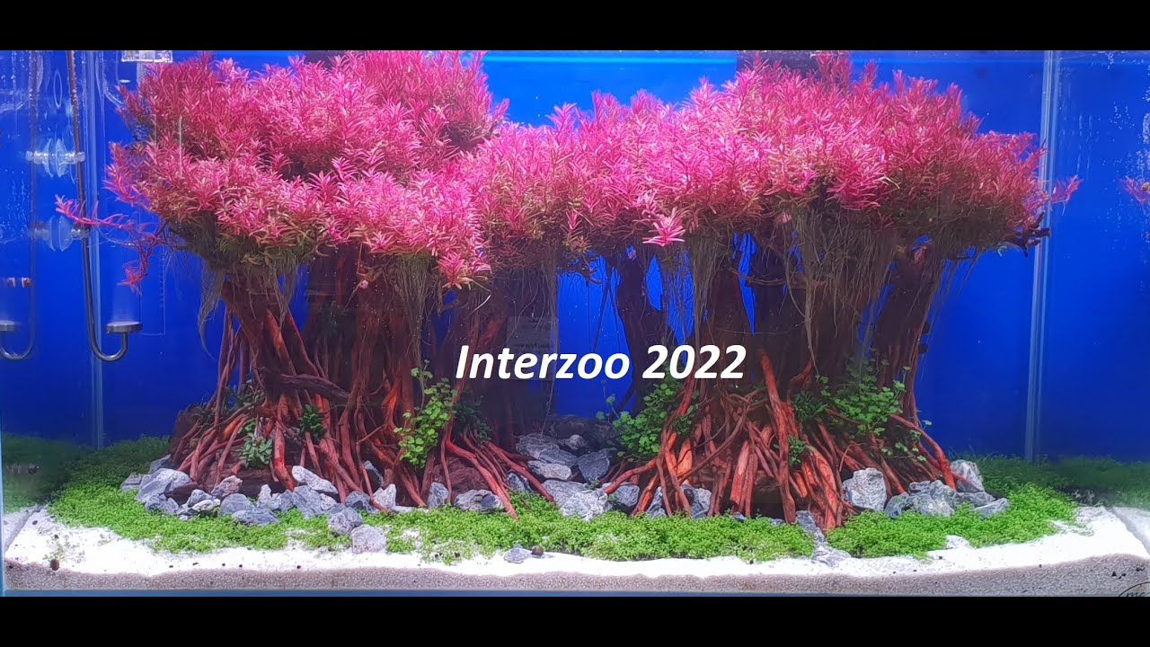 EN Interzoo 2022