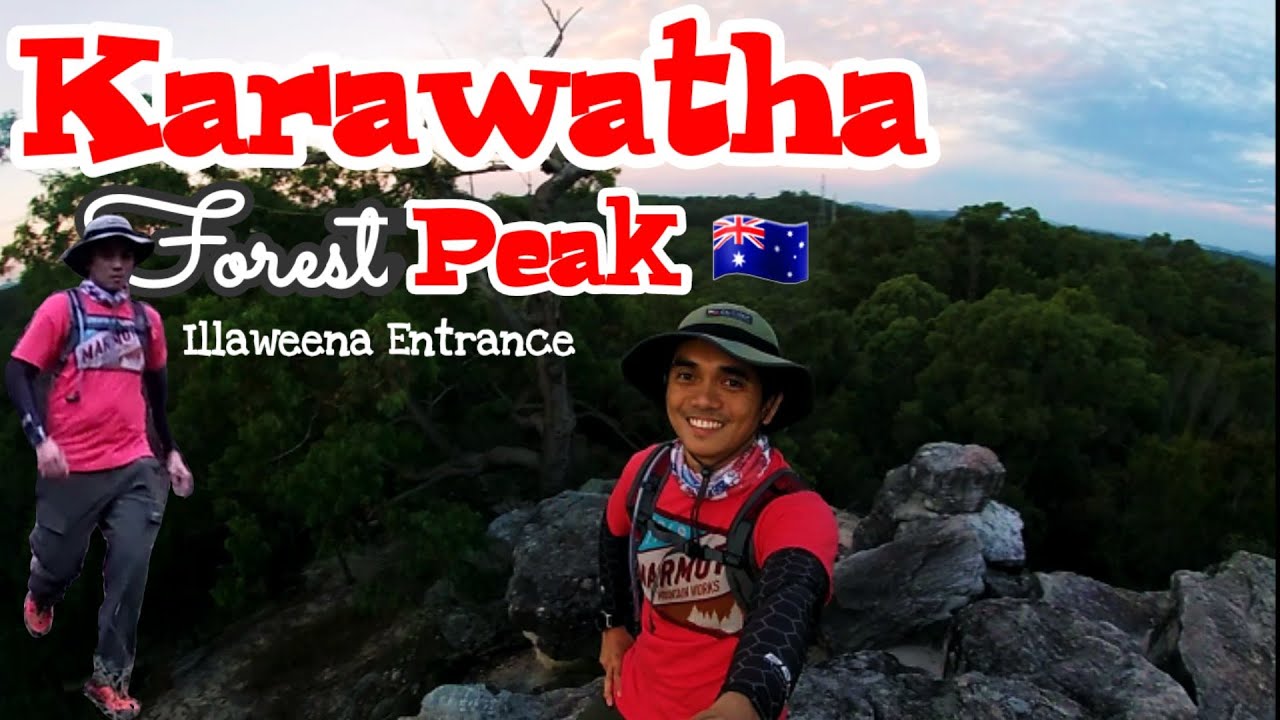 Going to the highest peak of Karawatha Forest | Bushwalking | Trail walking | Trekking #bushwalking