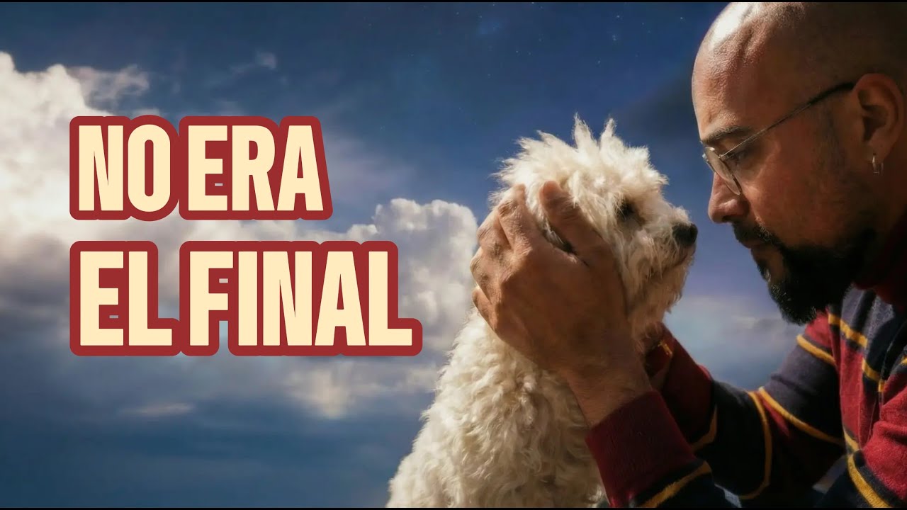 🐶 Lo que me ENSEÑÓ mi PERRO desde el CIELO🌈(HISTORIA REAL)💫