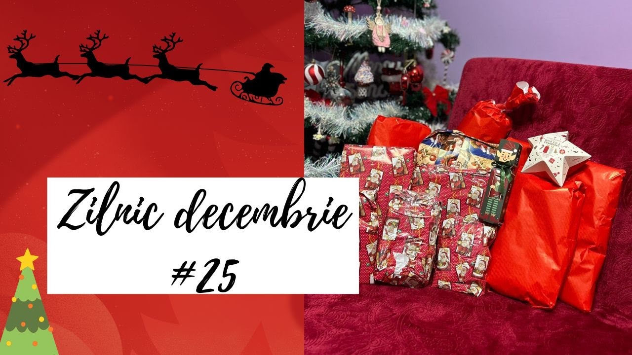 Zilnic decembrie #25 A venit mosu!