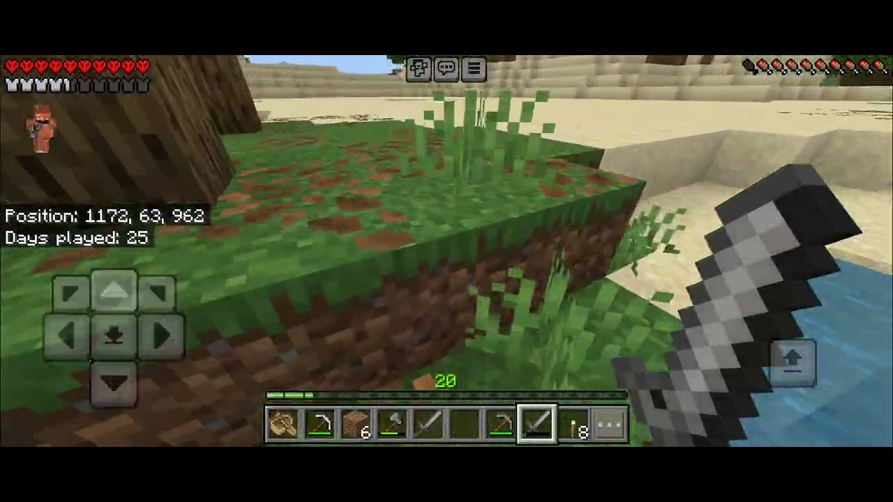 Minecraft Video 18
