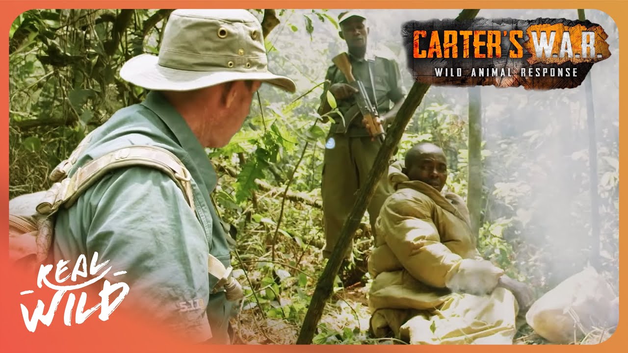 Raiding an Illegal Animal Poaching Camp in the Congo | Carter's WAR