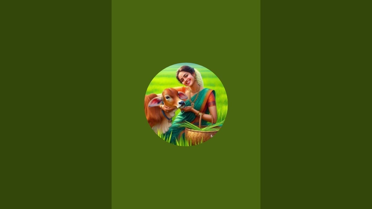 good afternoon all 💐💐 మీ ధరణి తో  ముచ్చట్లు ❤️