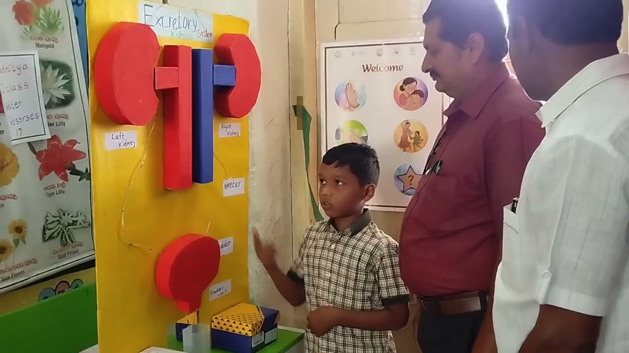 3 March 2026 science fair Respiratory system