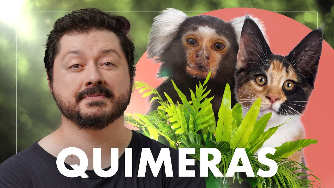 Como uma mãe pode ser a tia dos filhos dela?