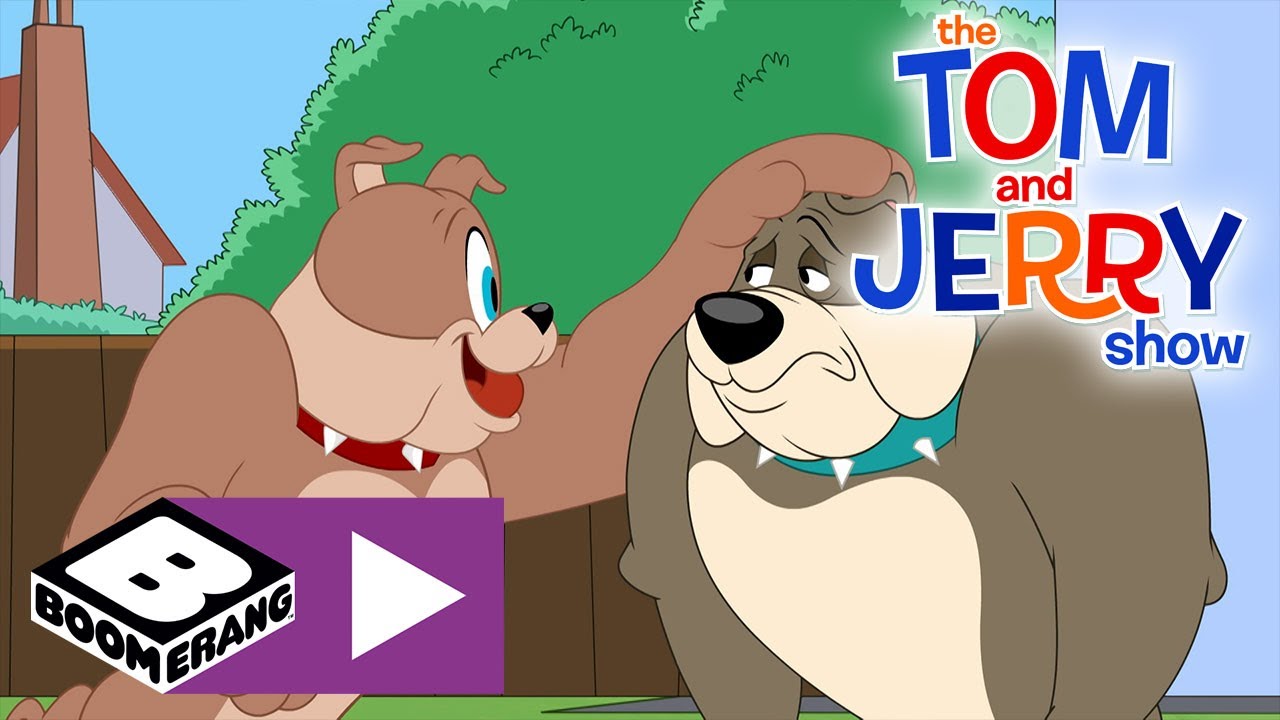 The Tom and Jerry Show | New Dog | Boomerang UK 🇬🇧