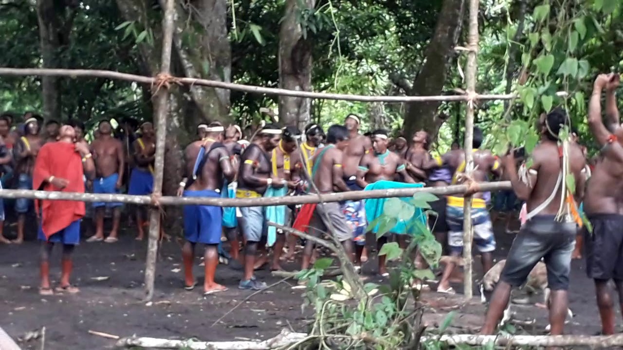 Os indios xikrin que faz a festa para tira maribondo