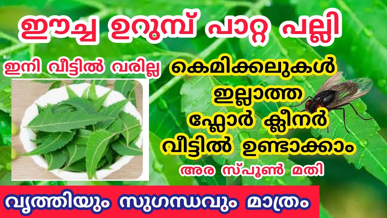 തുടയ്ക്കുന്ന വെള്ളത്തിൽ ഇതു കുറച്ച് ചേർക്കൂ||Natural floor cleaning solution@Yummy food RJ
