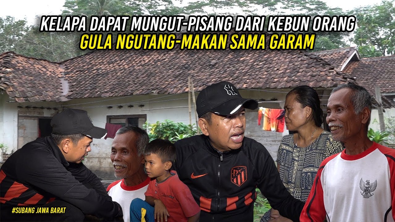 KELAPA MUNGUT YANG JATUH - PISANG DARI KEBUN ORANG - GULA HASIL NGUTANG - MAKAN HANYA NASI GARAM