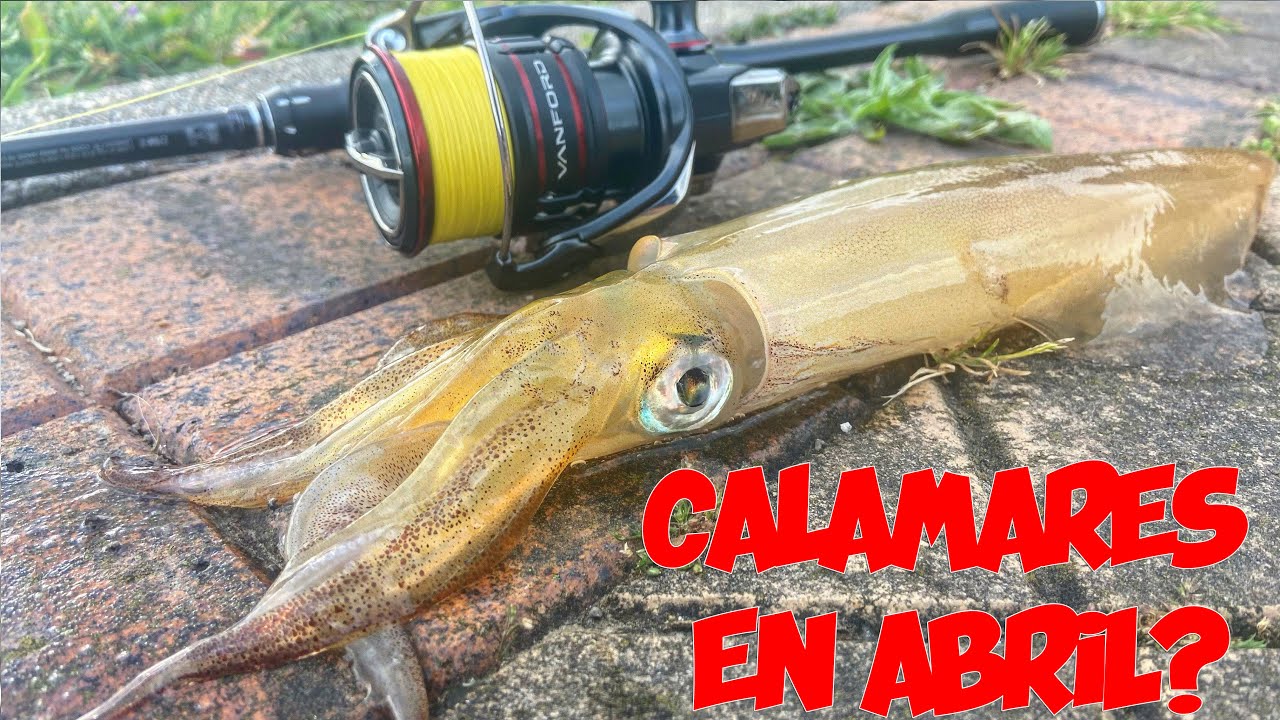 Pescando CALAMARES en Abril!