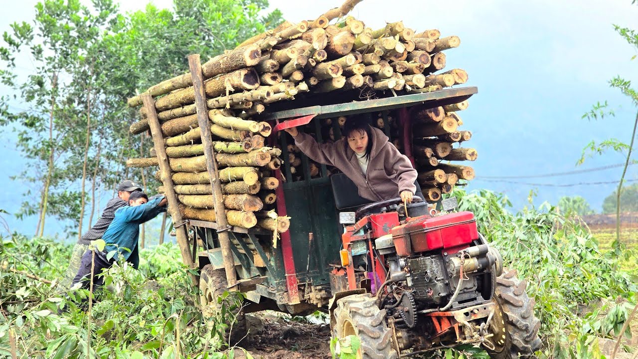 Agricultural vehicles help villagers transport timber along an extremely difficult road.#wood #truck