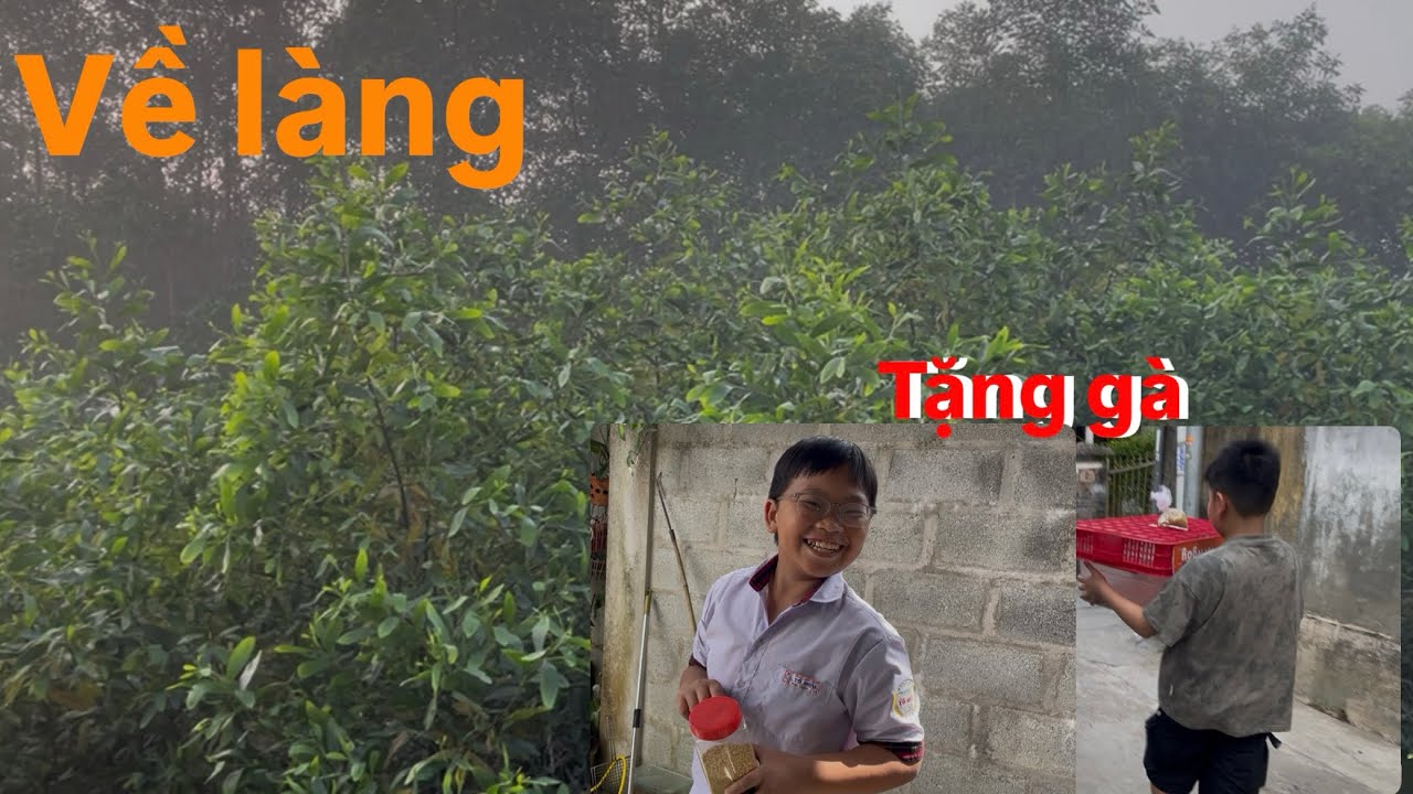 Về làng chạp vào ngày sương mù dày đặc và tặng gà Rutin cho các cháu nhỏ.