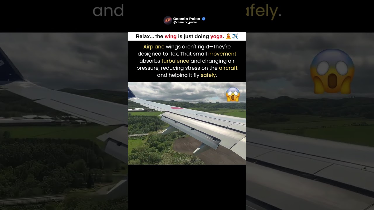 Why Airplane Wings Bend During Turbulence 😱✈️ #shorts #trending #viral #space #airplane #aviation