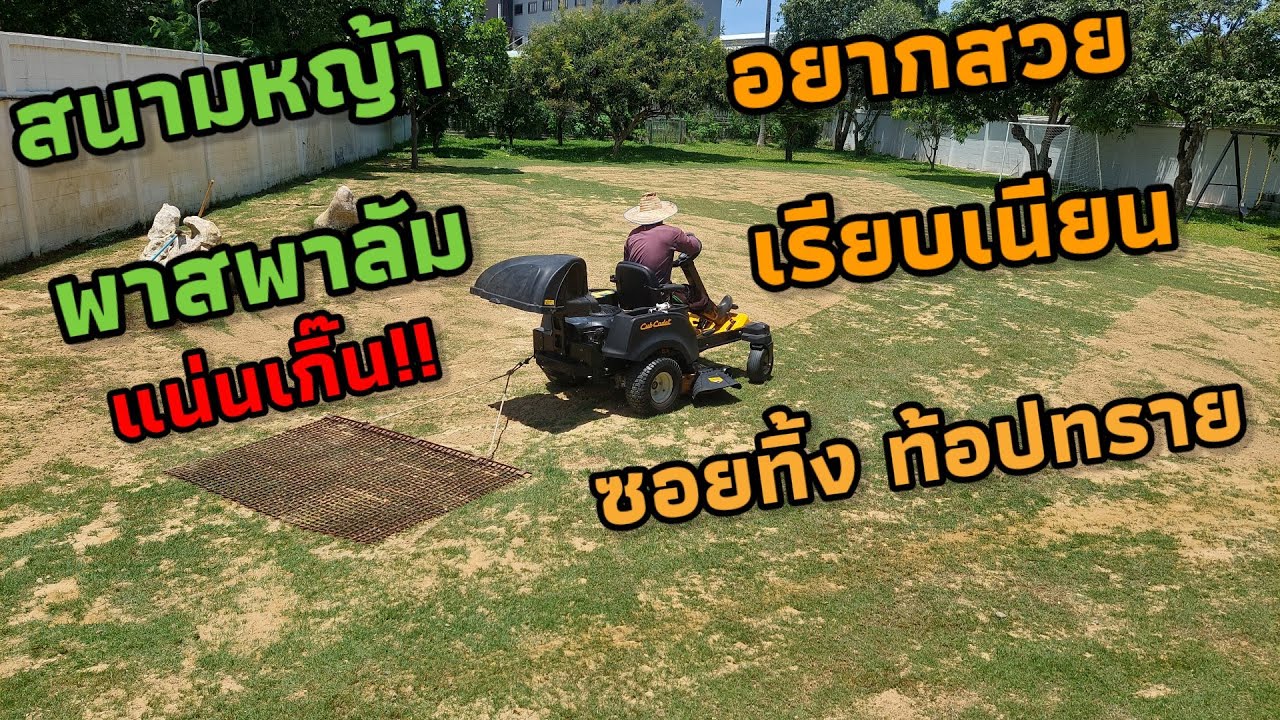 สนามหญ้าพาสพาลัม แน่นเกิน  อยาก ให้พื้นสนามเรียบต้องซอยหญ้าทิ้ง ท้อปทราย ให้ปุ๋ยบำรุง