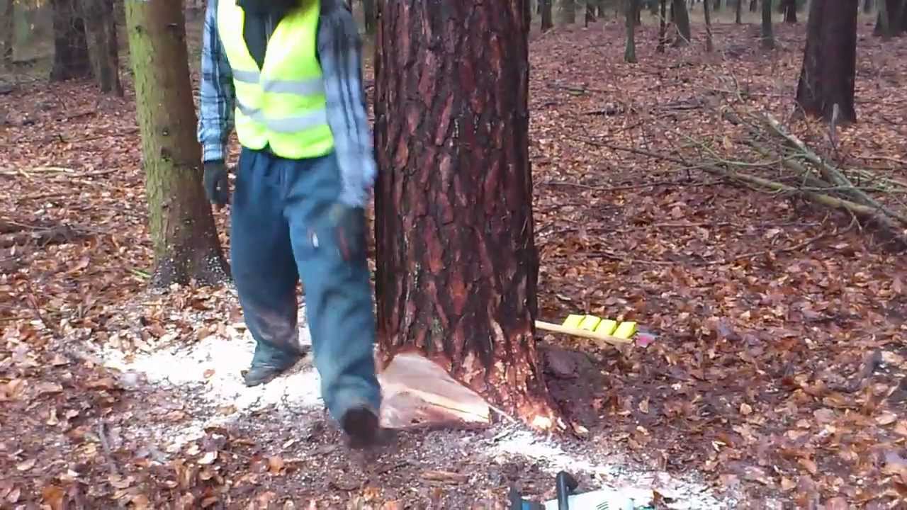 Kurs Pilarza, Kurs Obsługi Pilarek, Kurs Drwala