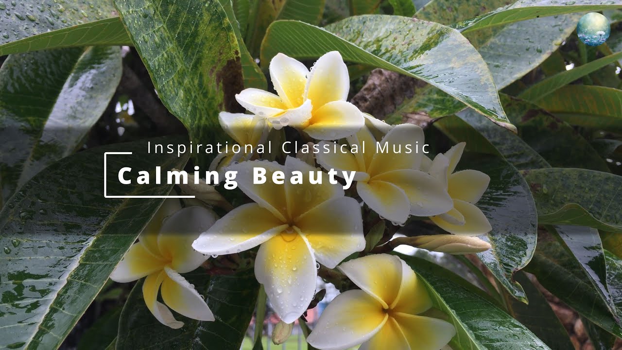 Classical Music to Relieve Stress, Anxiety and Depression - Inspirational Quotes - 4K, HDR